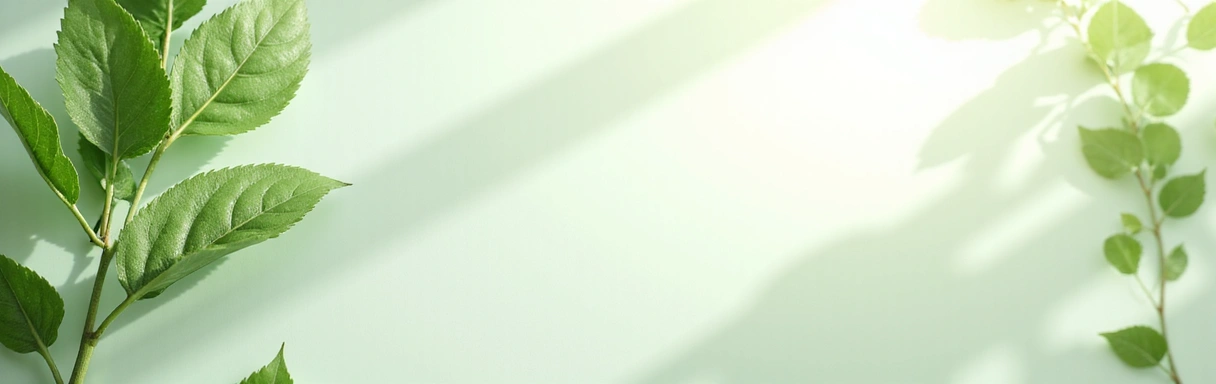 Clean, minimalistic banner for women's natural skincare, featuring abstract green and white elements